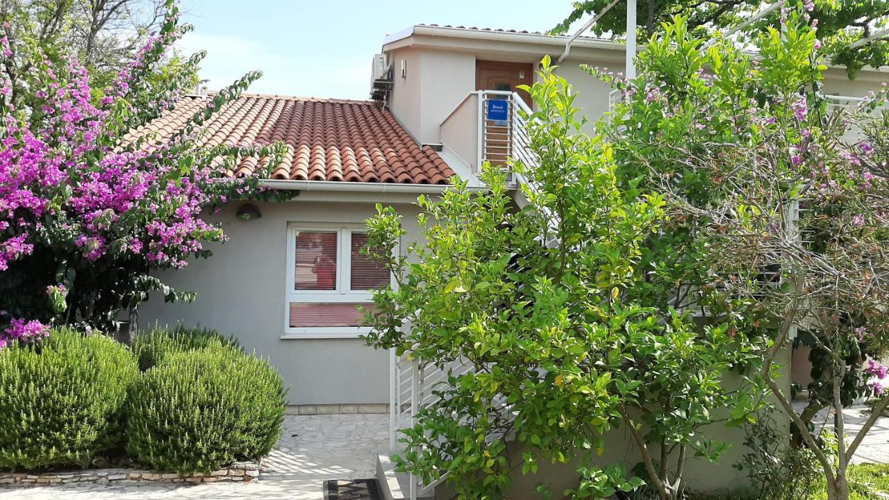 Appartement Haus Mirela à Ližnjan Extérieur photo